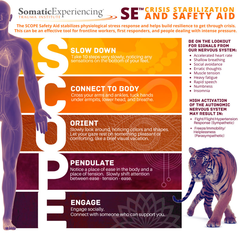 Somatic Experiencing: Crisis Stabilization and Safety First Aid